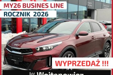 BUSINESS LINE wersja MY2026, benzyna automat DOSTĘPNY OD RĘKI